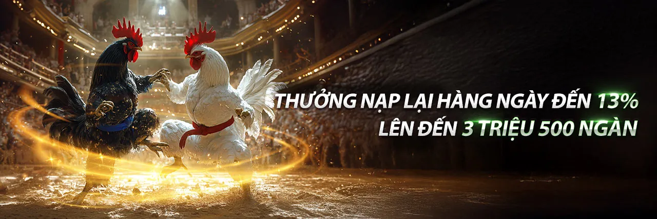 Đá Gà Trực Tiếp C3 27/5 - Trải nghiệm cá cược đỉnh cao tại 888b